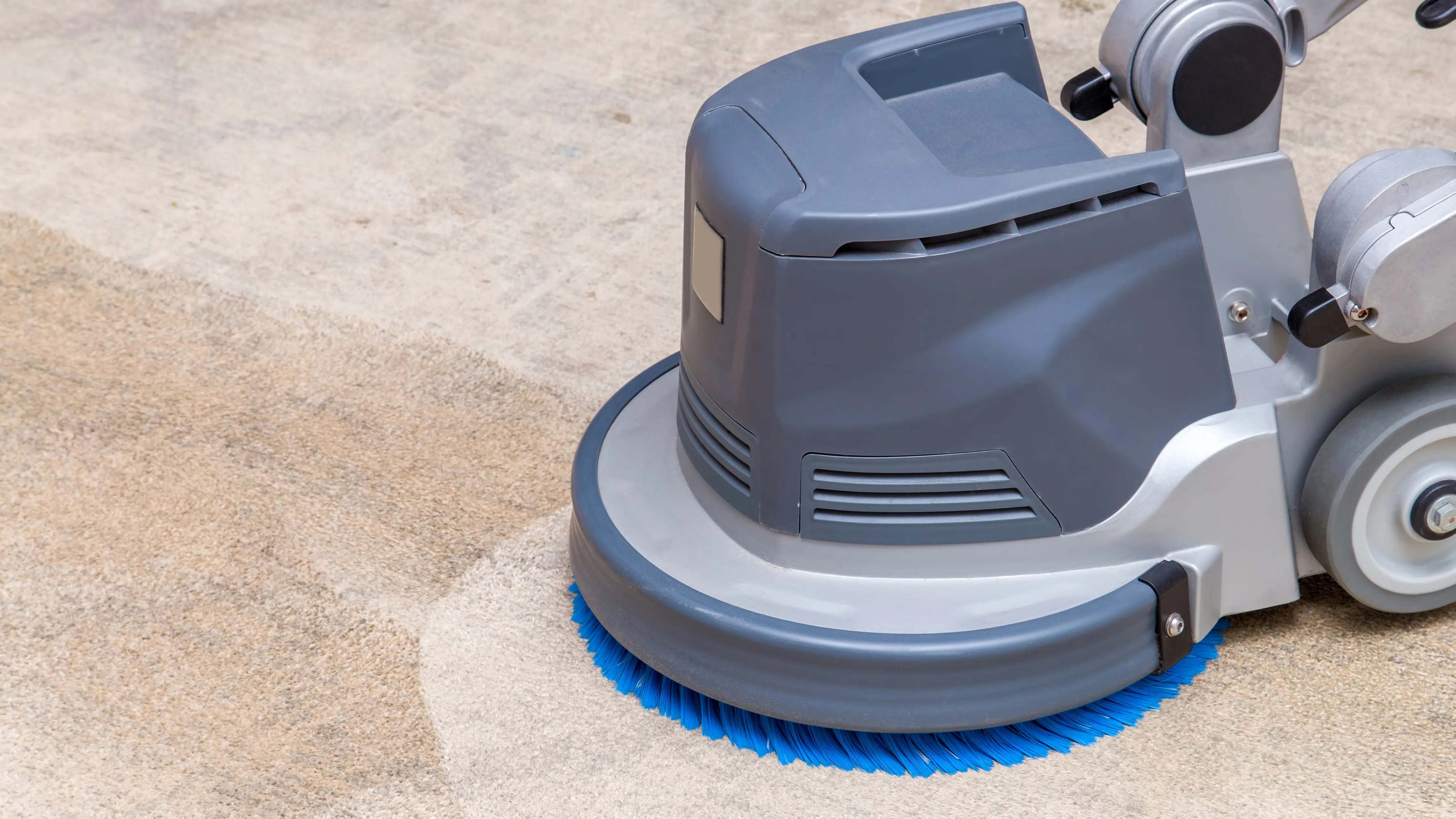 A rotary floor machine cleaning the pile of an area rug