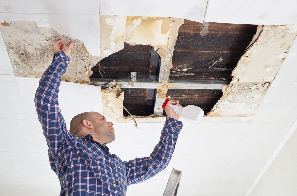 Commercial fast mold removal in Arkansas